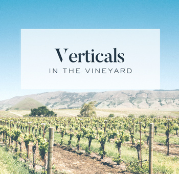 Verticals In The Vineyard